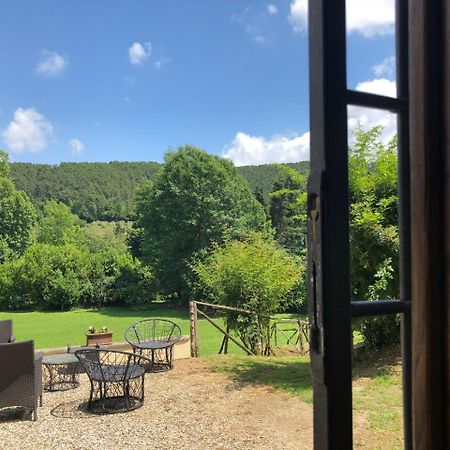 Villa Viola Lucca Kültér fotó