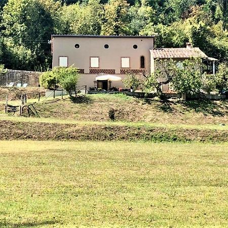 Villa Viola Lucca Kültér fotó