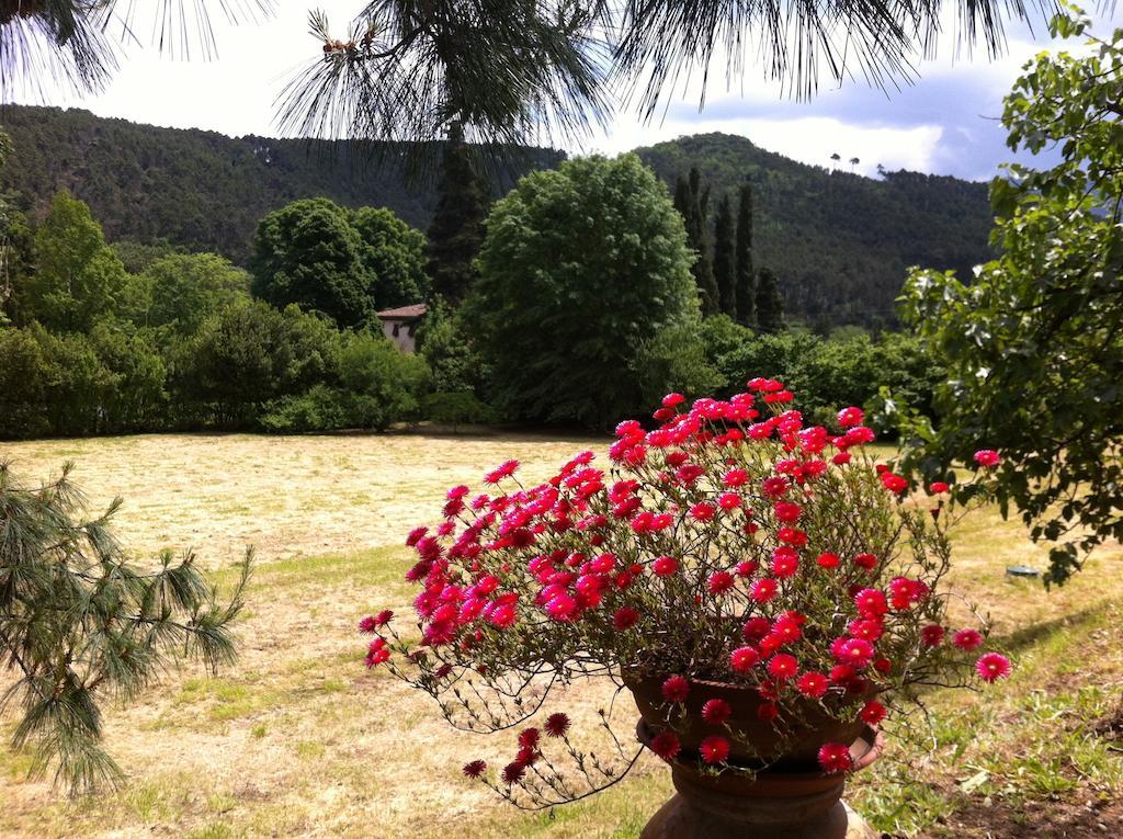 Villa Viola Lucca Kültér fotó